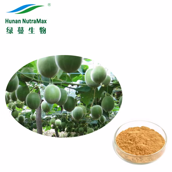 Natural Sweeteners Organic Monk Fruit Extract Mv 50% with Free Samples